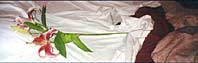 A lilliy on Yuttas bed in New York