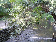 A small creek in Todoroki Gorge